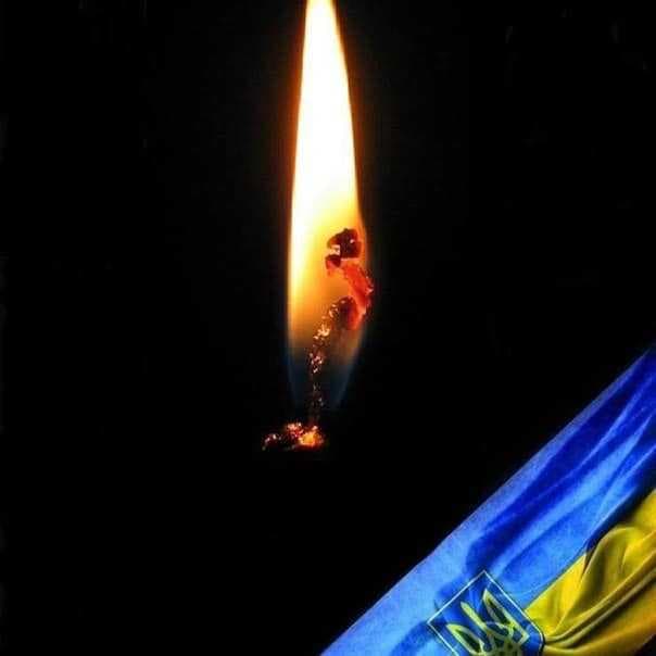 Зображення 14