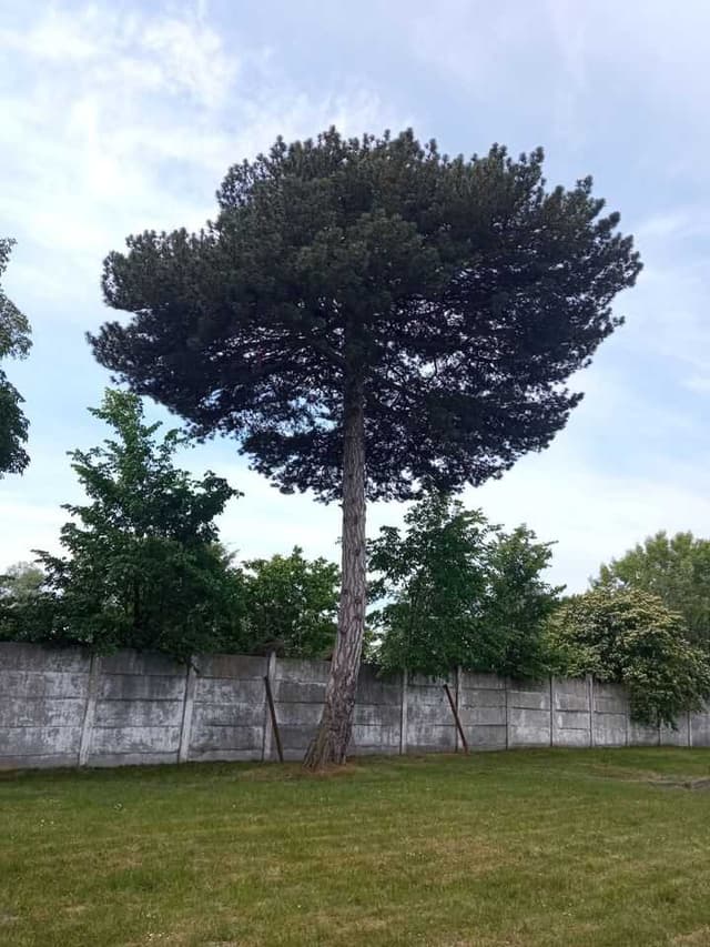 Зображення 8