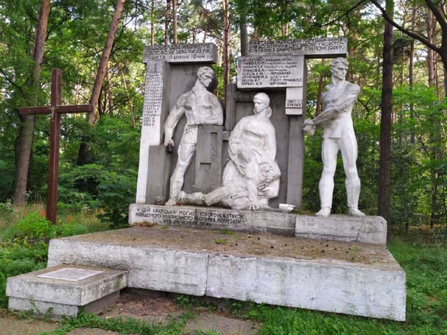 Зображення 15
