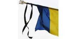 Зображення 15